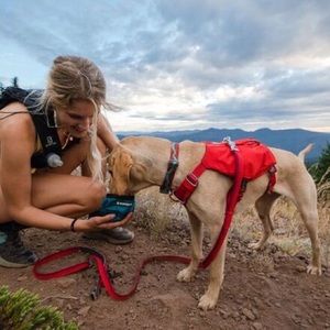 Ruffwear Switchbak Harness (Red Sumac) (M)